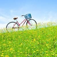 电脑为什么不能安装杀毒软件