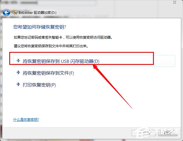 优盘在复制时,电脑蓝屏了,优盘再插入电脑就不显示了_优盘功能_优盘功能