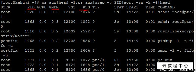 linux查看进程_linux 查看进程 内存_linux查看端口和进程命令