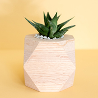 显卡风扇怎么加润滑油