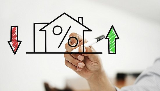 生猪价格今日猪价最新走势价格_生猪 价格 走势_内存价格走势