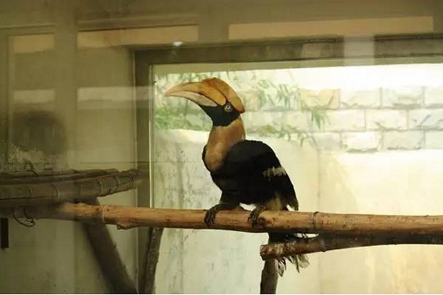 玻璃显示器反光