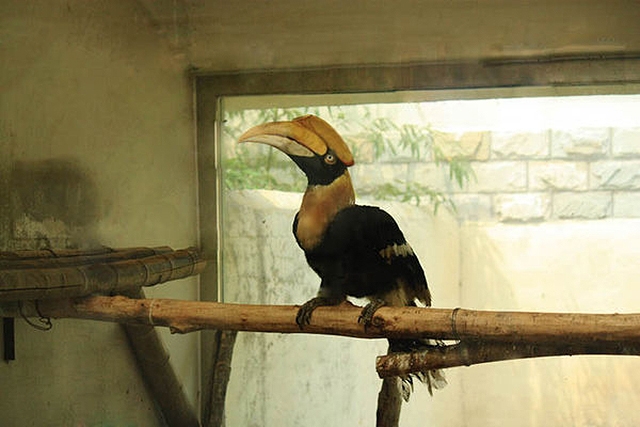 玻璃显示器反光