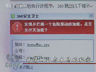 灰鸽子查杀_灰鸽子2010_白鸽子和灰鸽子配对