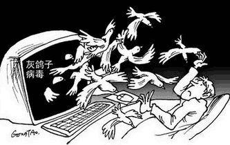 白鸽子和灰鸽子配对_灰鸽子查杀_灰鸽子2010