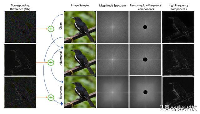 稀疏矩阵图像处理_稀疏矩阵分解_稀疏矩阵qr分解