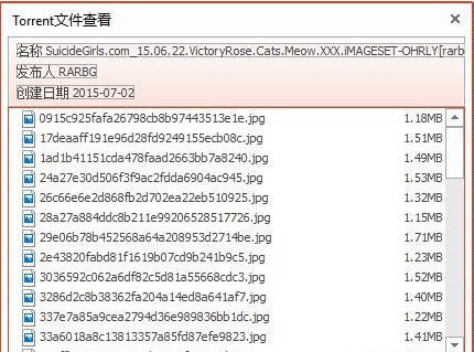 软件bt下载_下载快的bt软件_bt下载软件中文