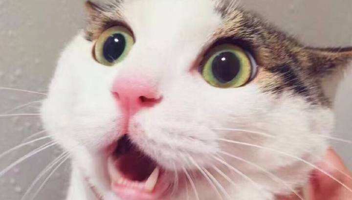 lol 薄膜键盘 机械键盘