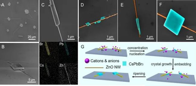 电脑不能启动 屏幕显示_显示器屏幕技术_苹果屏幕显示主屏幕