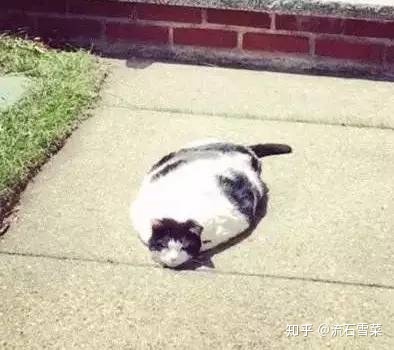 cpu散片怎么来的