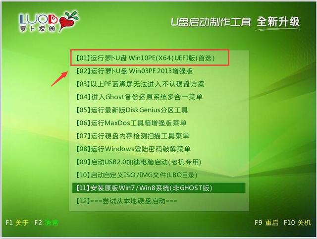 萝卜家园u盘启动盘制作工具