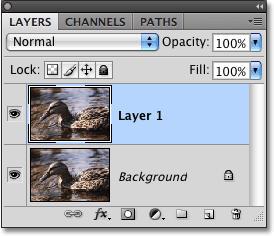 显示器亮度调节软件_显示屏亮度调节_lg显示器自动调节亮度
