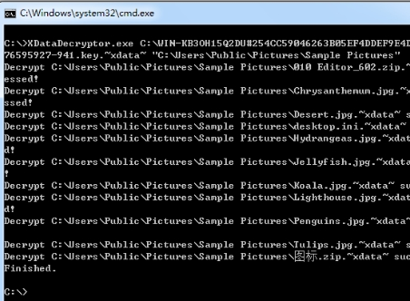 新型电脑病毒加密用户文件勒索300美元_电脑里的文件打不开怎么办_病毒蔡骏下载