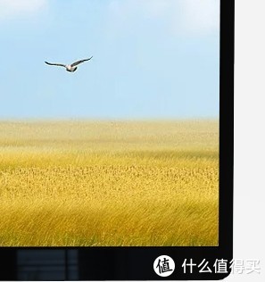 显示屏的使用分享