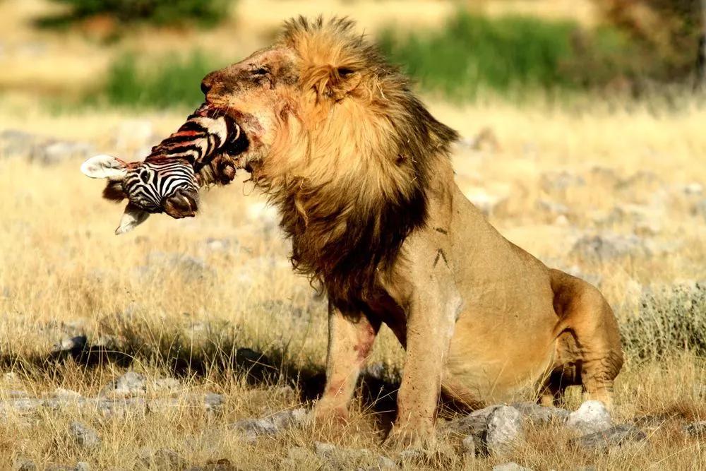 显示器怎样使用会坏的快_坏盘分区器一般要多久_cpu使用率高 是cpu坏了吗