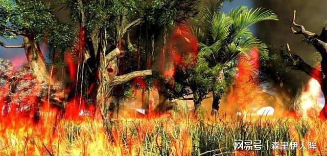 雷技帝龙三色背光游戏键盘_雷技帝龙三色背光游戏键盘_雷蛇萨诺狼蛛键盘有背光吗