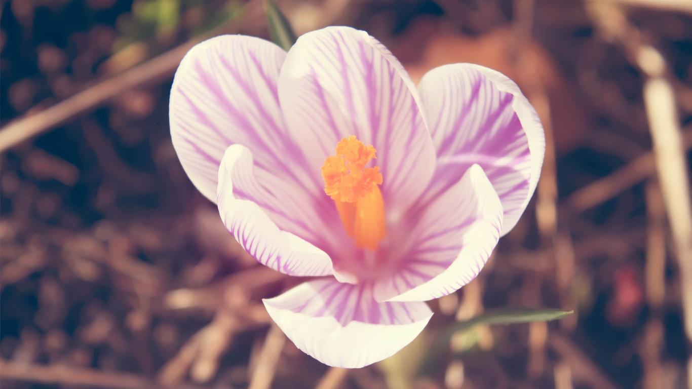 c datagridview 右键_右键不能复制_win10桌面右键卡死