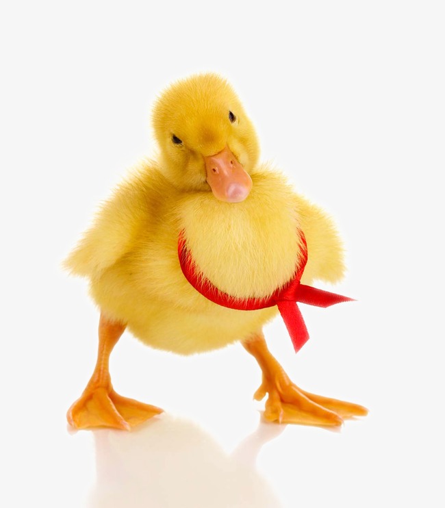 安装完吉吉播发器为什么网页还是显示要安装_金佳佰业hdmi高清显示线 1.5m(深灰色)_高清显示器