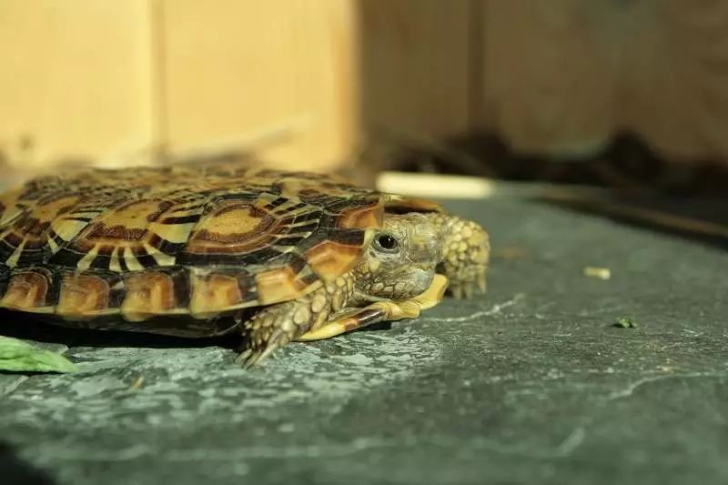 百兆宽带路由器设置_极路由 百兆光纤_中国移动宽带路由设置