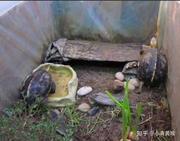 中国移动宽带路由设置_百兆宽带路由器设置_极路由 百兆光纤