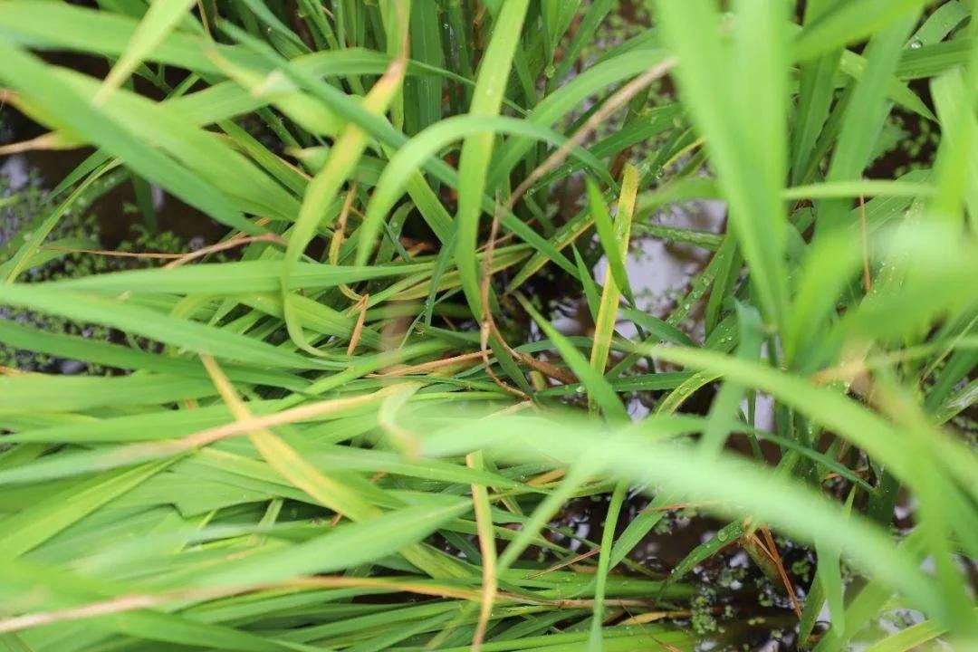 完美者u盘工具_完美者u盘工具_完美者u盘装系统