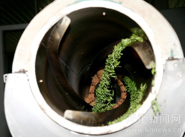 绿茶裱浏览器_绿茶裱浏览器_绿茶裱之后还有什么婊