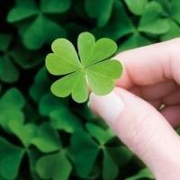 
【烘焙课堂】黑轴和青轴的优缺点有哪些？