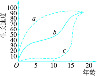 大白菜u盘装ghost系统教程_u大师u盘装xp系统教程_电脑店u盘装win?8版系统教程