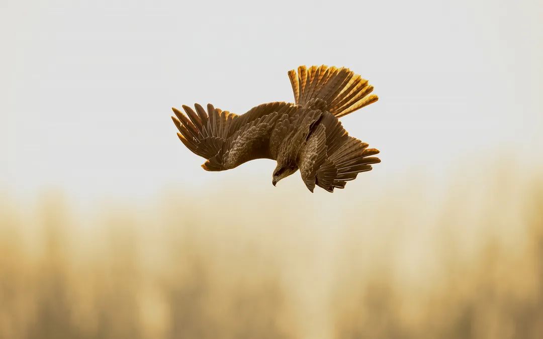 头戴式显示器 眼睛是远对焦还是近对焦