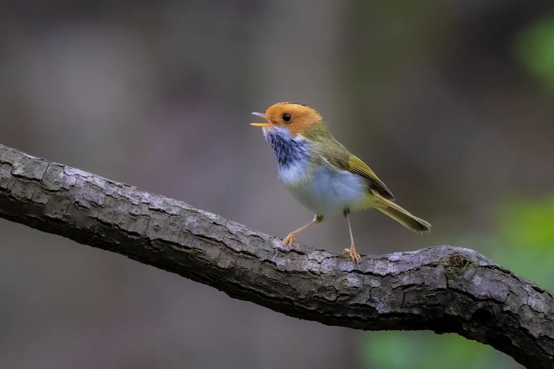 头戴式显示器 眼睛是远对焦还是近对焦
