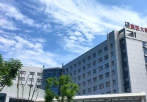 路由器恢复出厂没网了