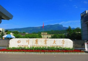 路由器恢复出厂没网了