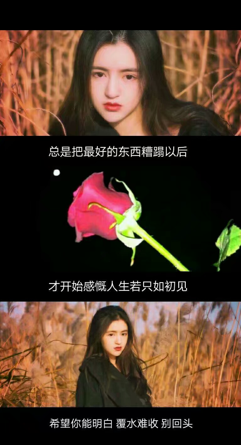 qq聊天壁纸_qq聊天壁纸简约_qq情侣聊天壁纸卡通