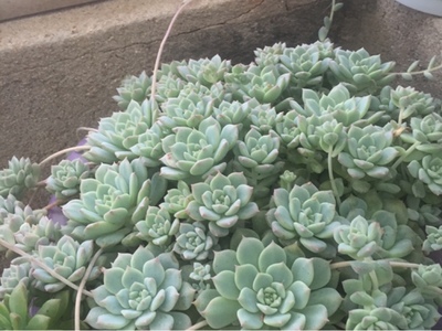 tp路由器怎么样