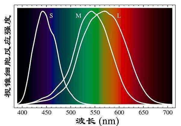 显示器红蓝绿三色数值
