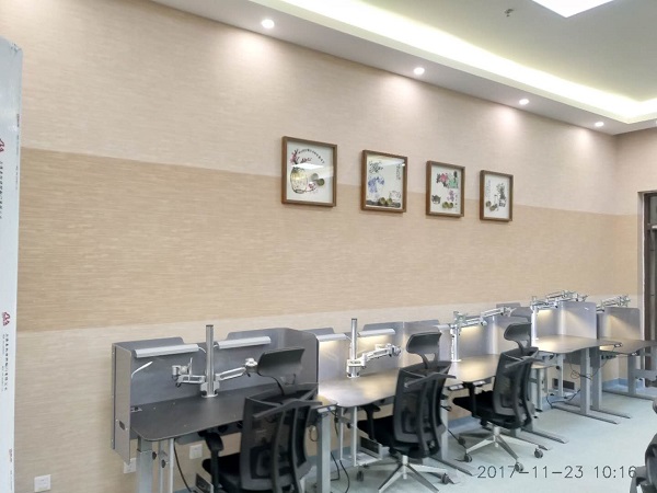 2mp诊断级灰阶显示器哪家好