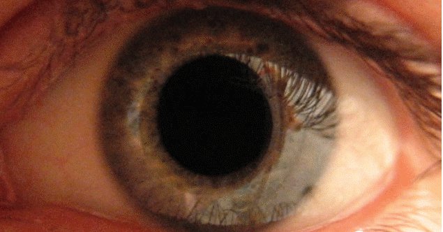 led显示器怎么选