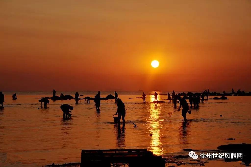 抗日血战显示器_最新抗日电影大全血战_抗日血战硫磺岛