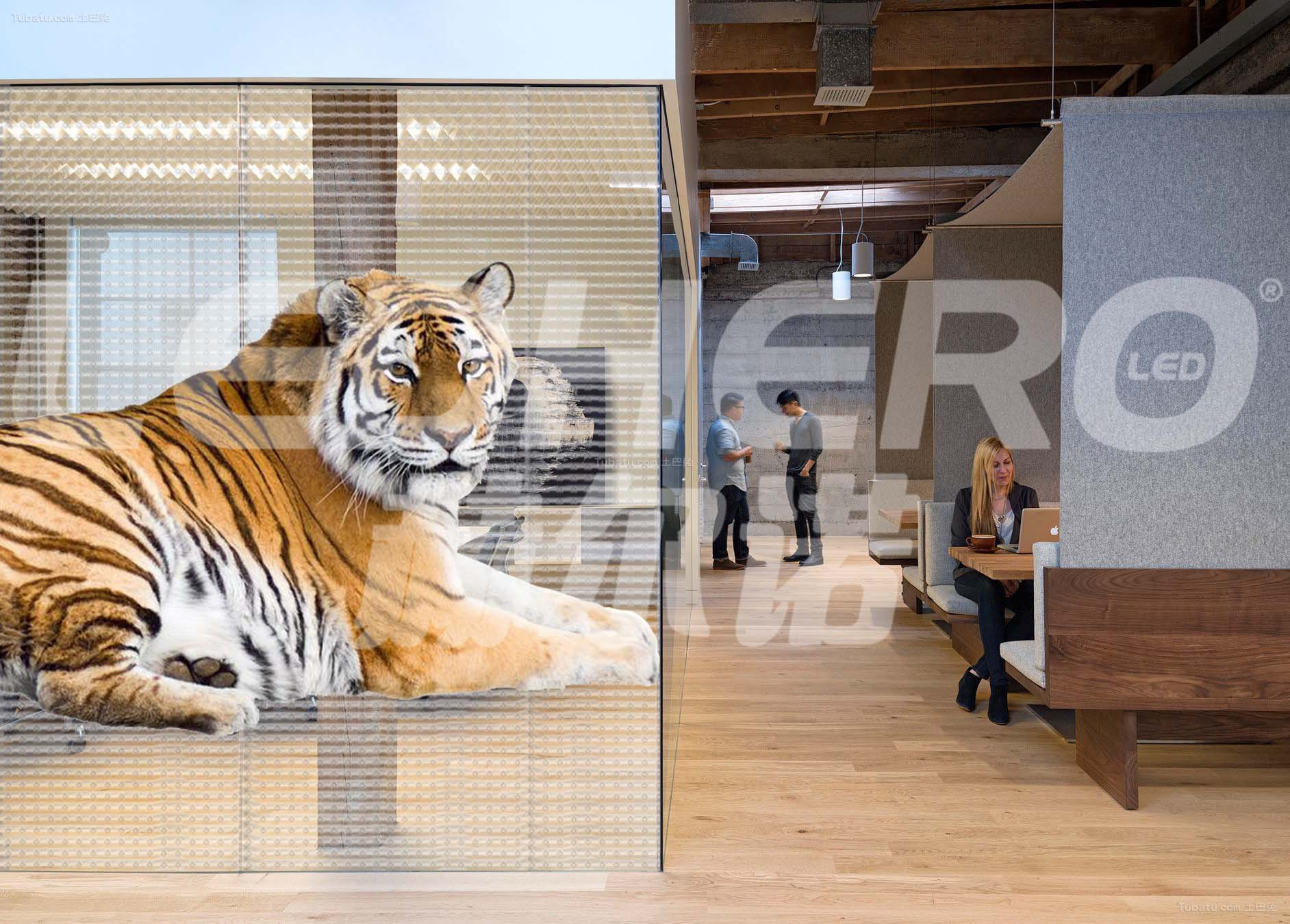 led透明显示器原理