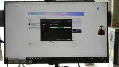 融乐显示器和飞利浦好吗?