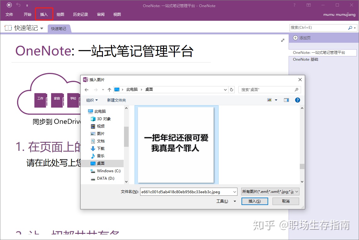 提取图片中文字软件