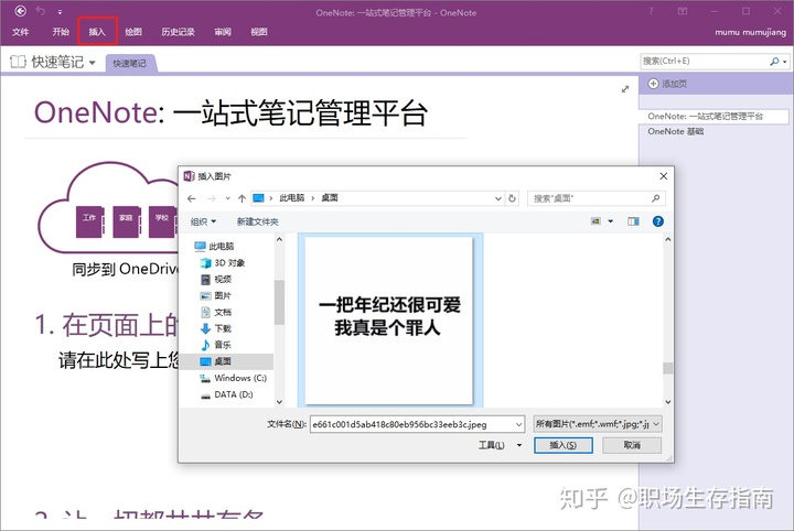 提取图片中文字软件