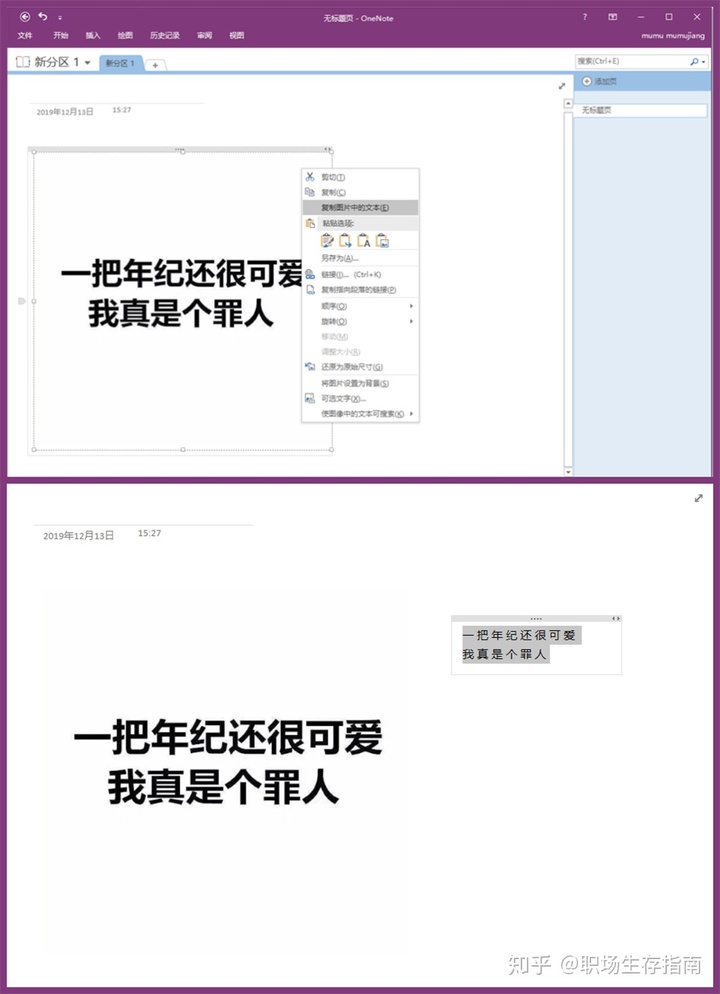 提取图片中文字软件