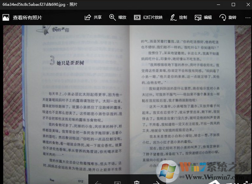 提取图片中文字软件