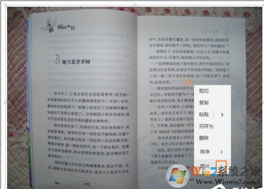 提取图片中文字软件