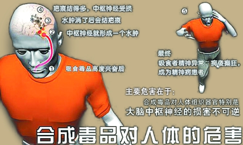 路由器对人体的危害_人体润滑油危害_人体寄生虫的危害