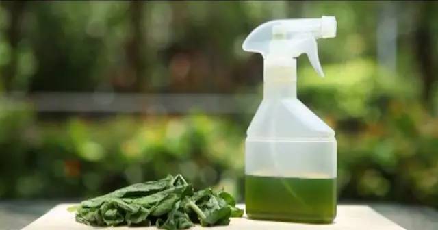 人体润滑油危害_人体寄生虫的危害_路由器对人体的危害