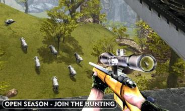 捕猎机厂家_捕猎机配件高压包主板_捕猎机配件高压包主板