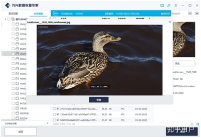 硬盘格式化恢复多少钱