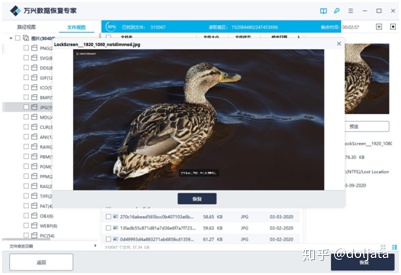 硬盘格式化恢复多少钱